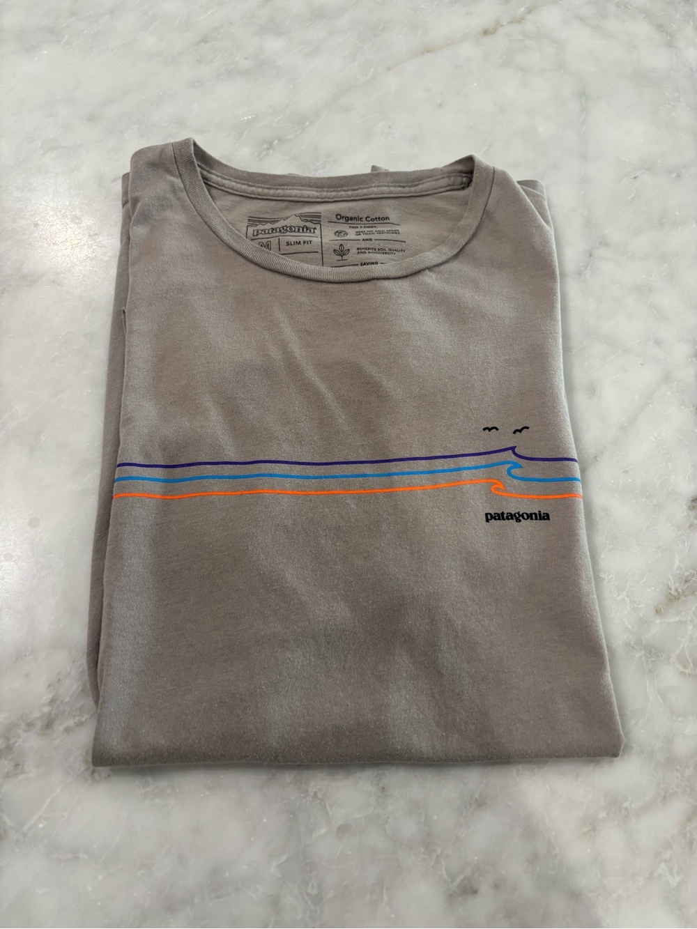 Patagonia Short Sleeve Tee in Gray with Blue & Orange Stripe Graphic